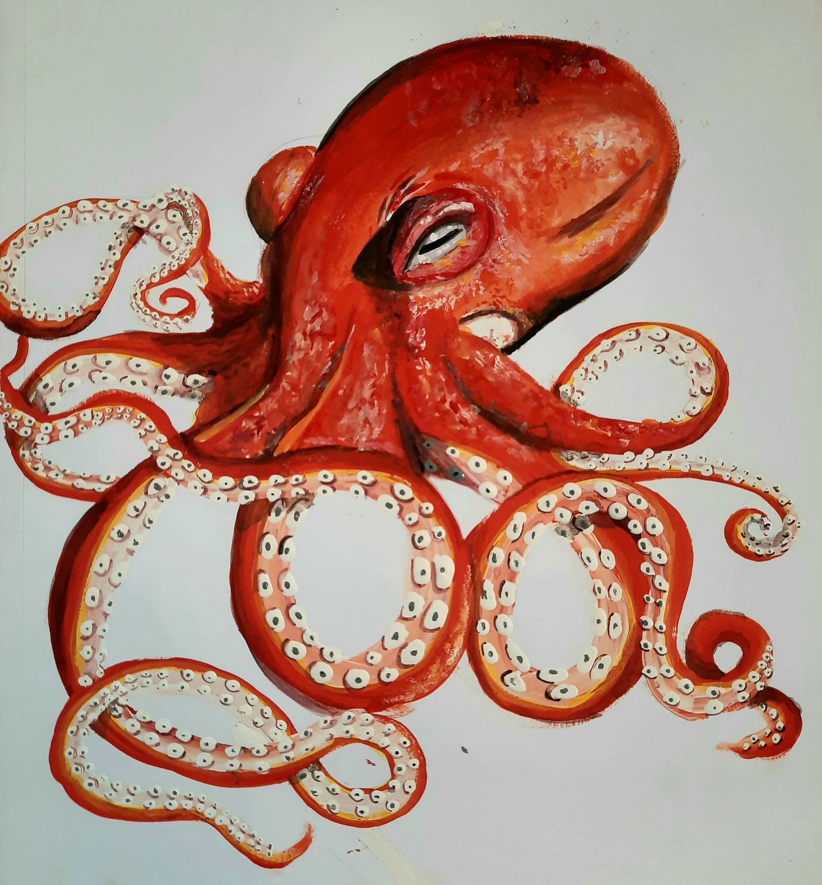 Crimson Octopus — Gouache on paper