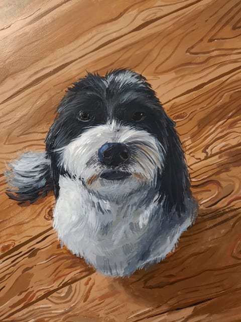 Looking Up (Pet Portrait)