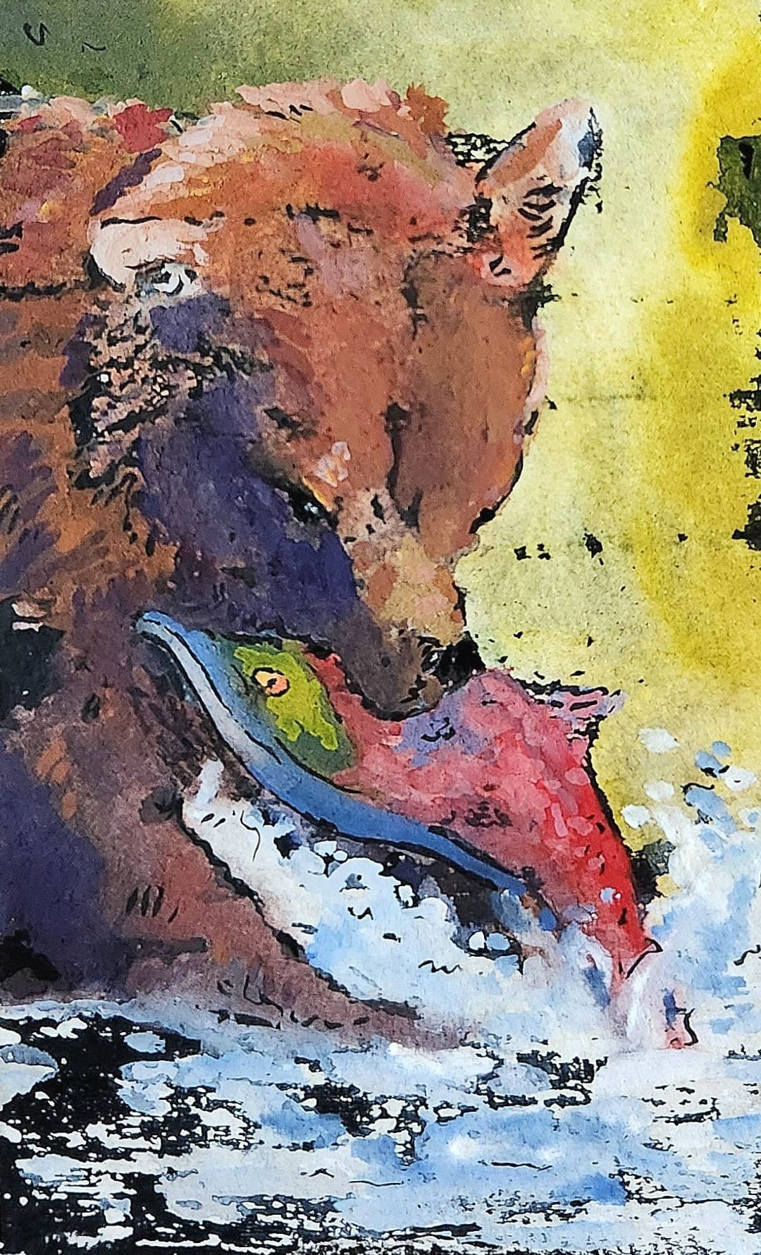 Bear and Sockeye