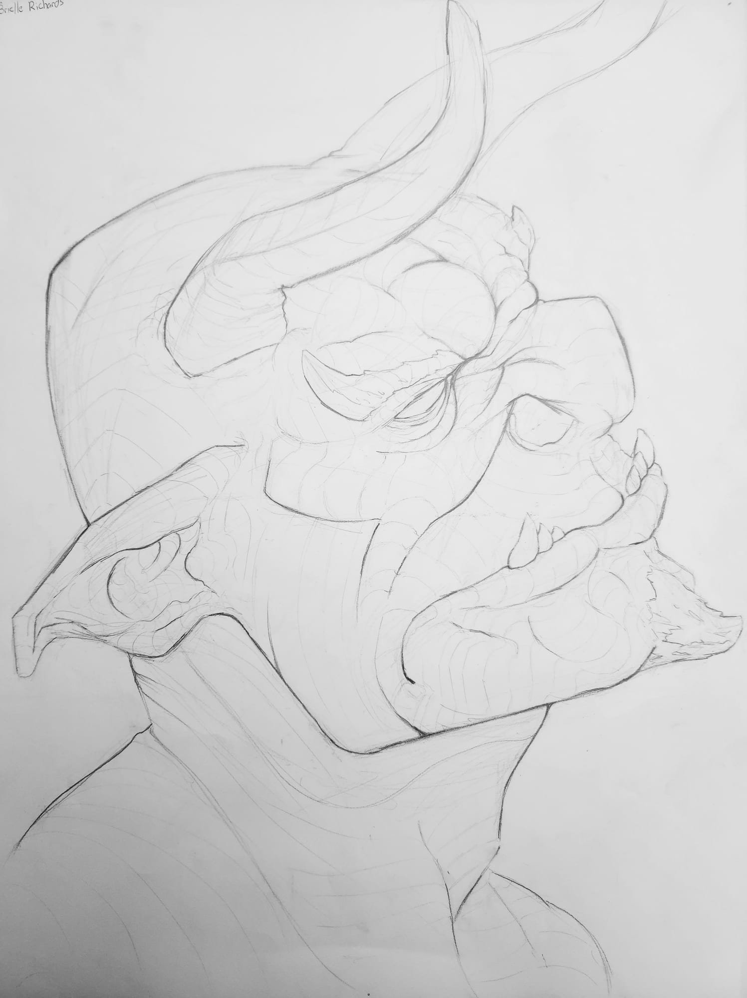 Horned Dragon Study